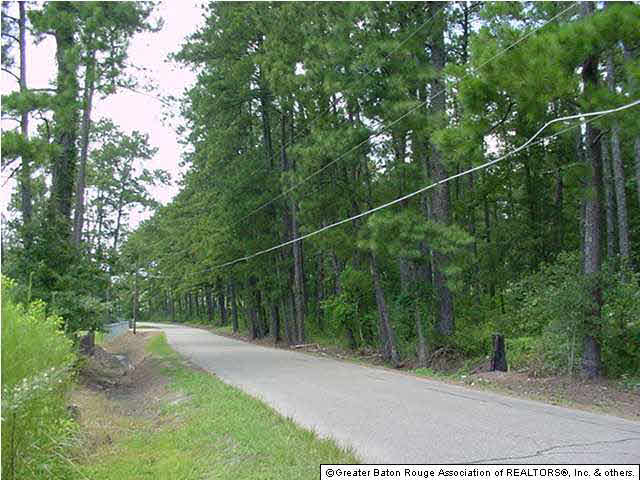 27592 Purvis Road Independence, LA 70443 - Photo 10 of 10 Gallery Image 10