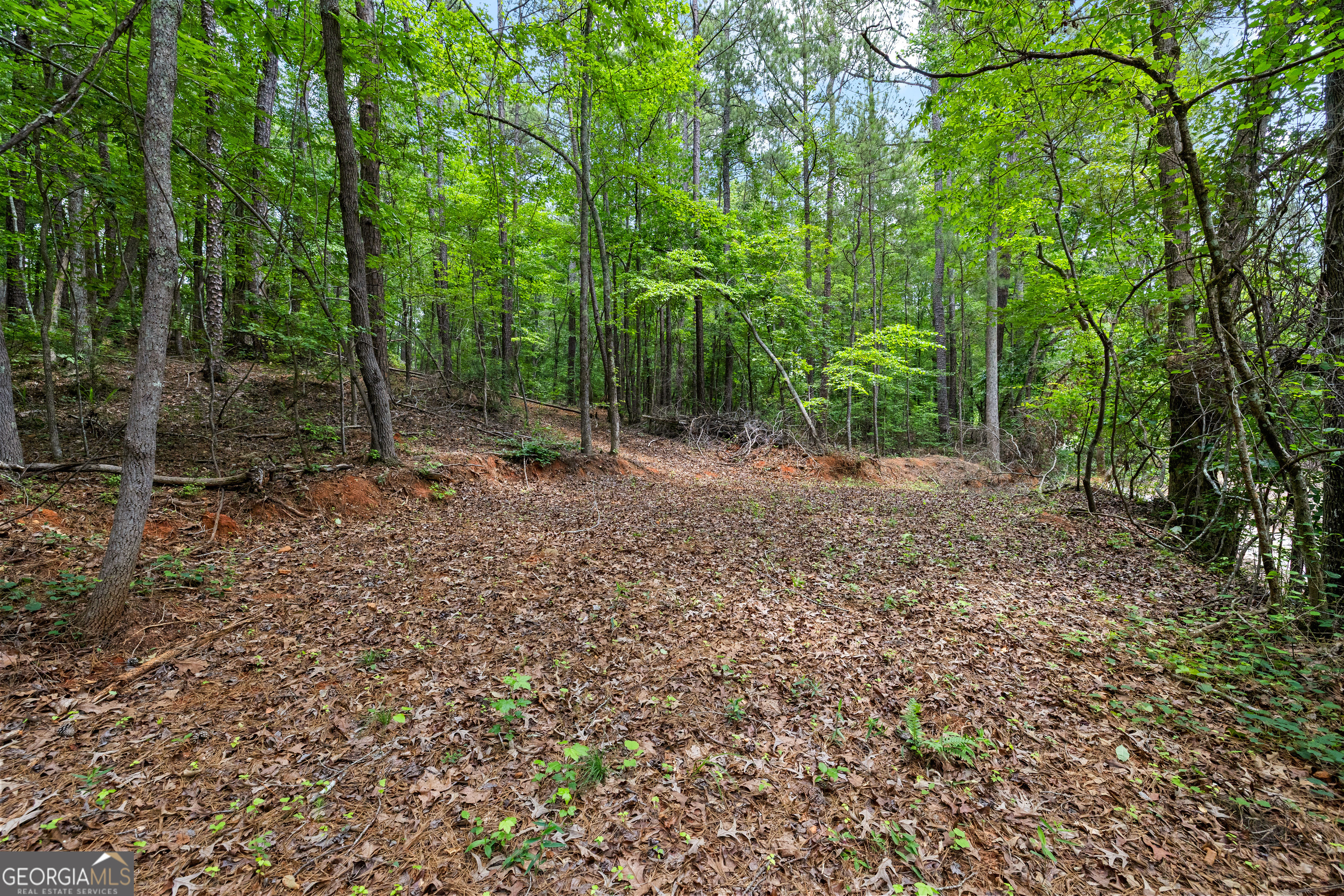 0 Terry Road Fairburn, GA 30213 - Photo 2 of 22