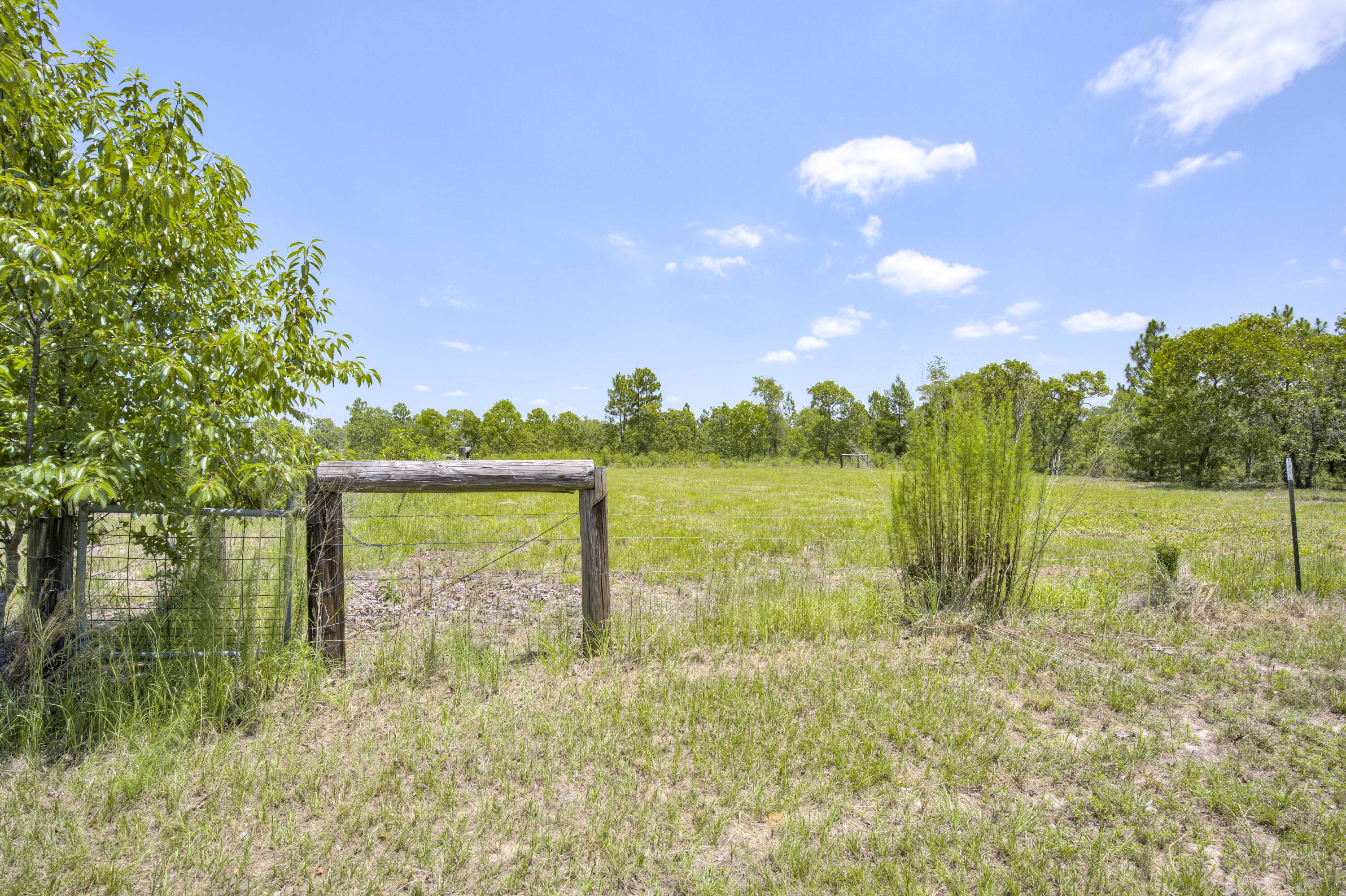 798 Big Branch Road Wagener, SC 29164 - Photo 51 of 63