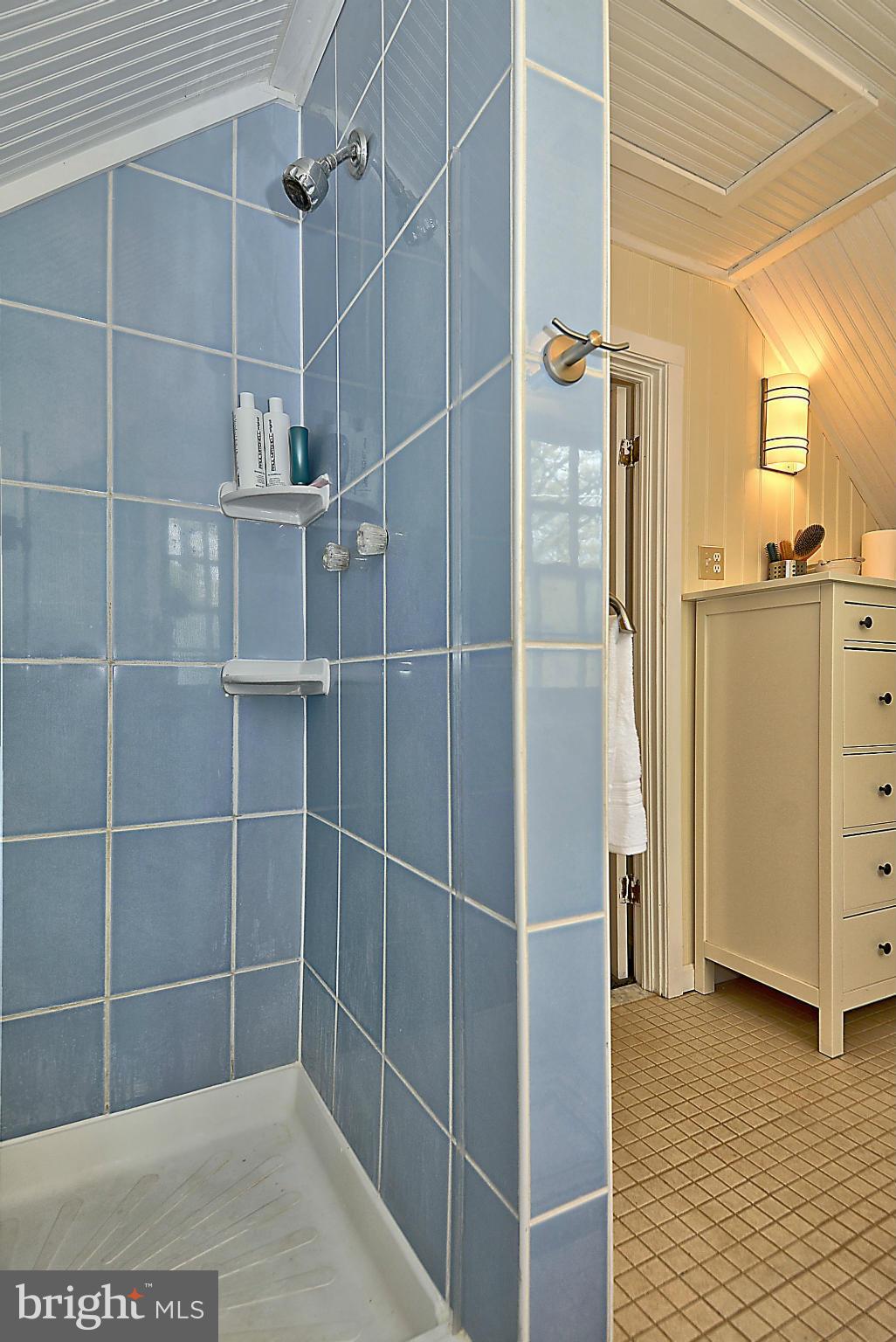 100 Hutton Street Gaithersburg, MD 20877 - Photo 9 of 30 Bath (Master)