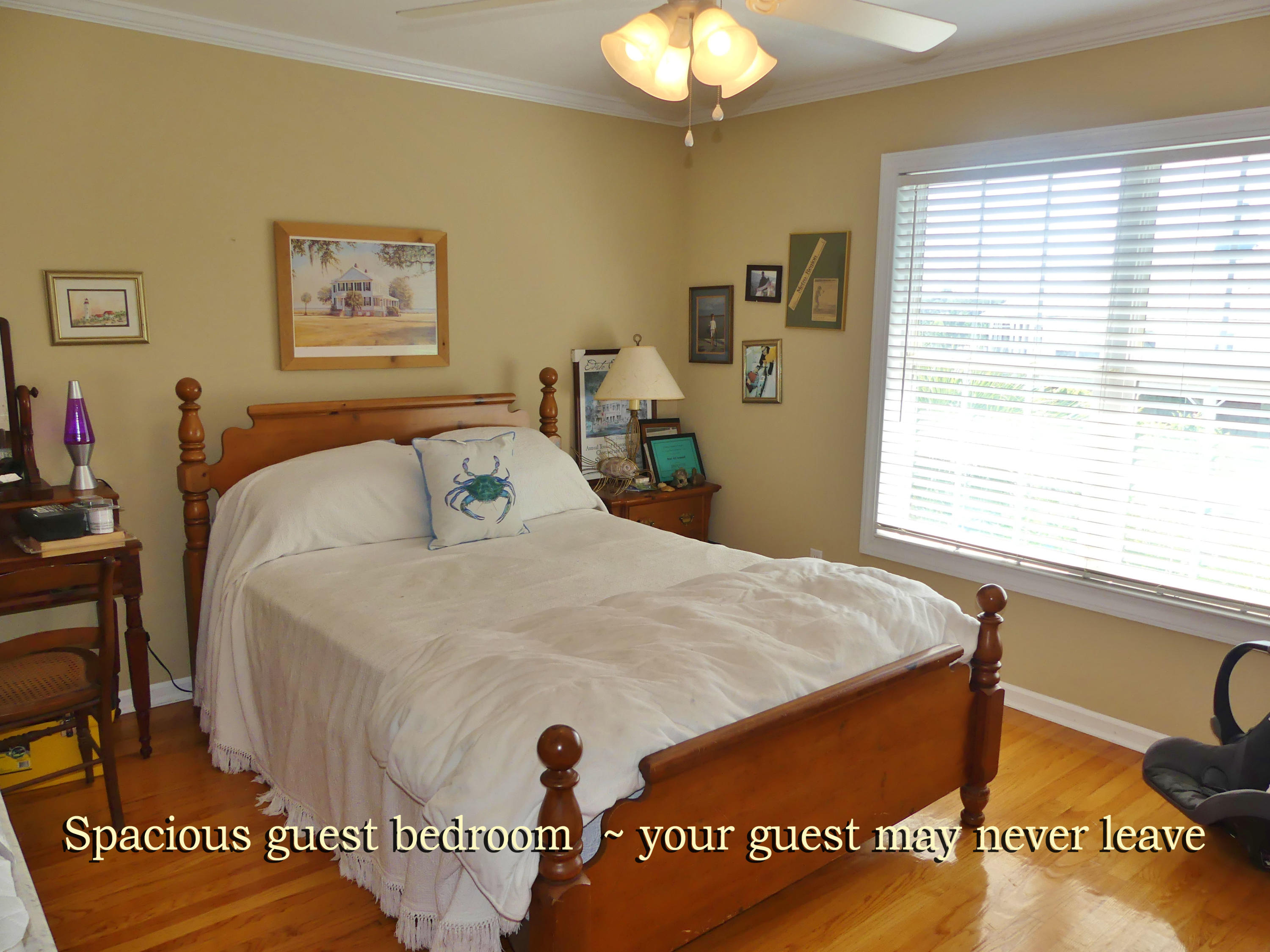 3771 Docksite Road Edisto Island, SC 29438 - Photo 26 of 79 18