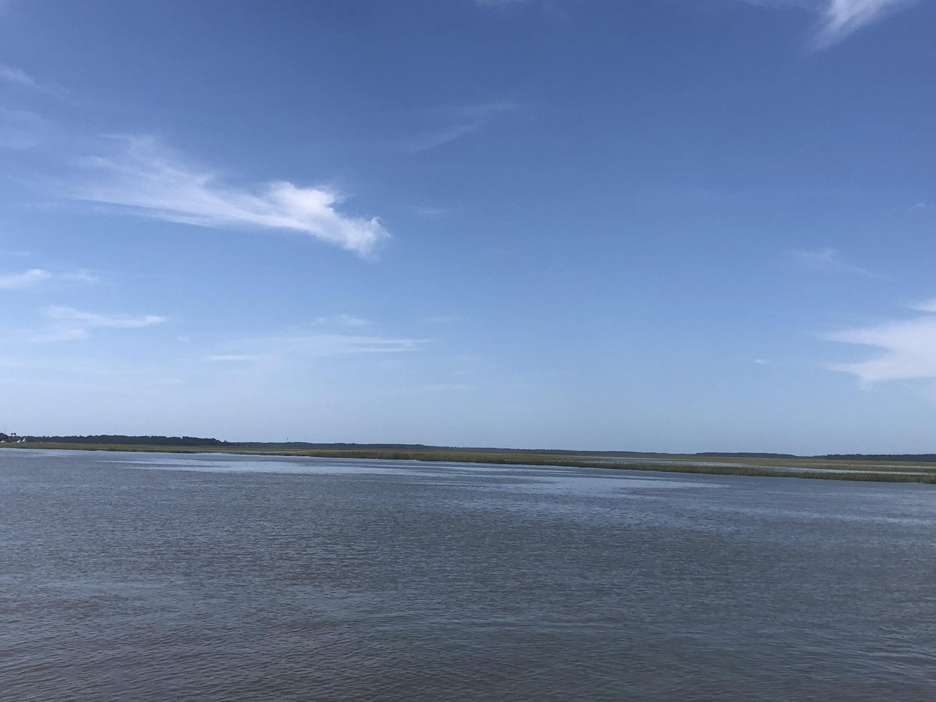 3771 Docksite Road Edisto Island, SC 29438 - Photo 51 of 79 44