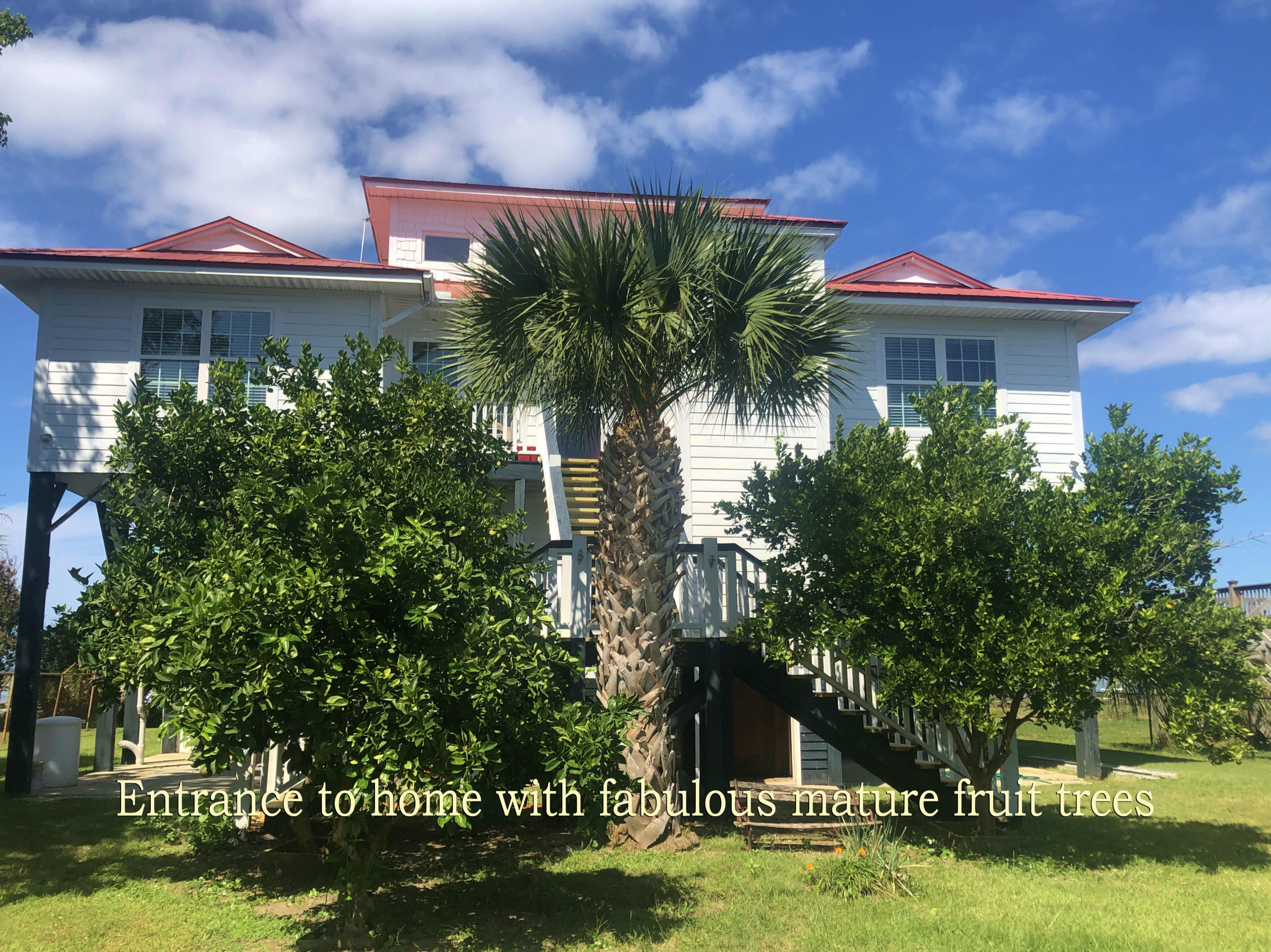 3771 Docksite Road Edisto Island, SC 29438 - Photo 7 of 79 4aaa