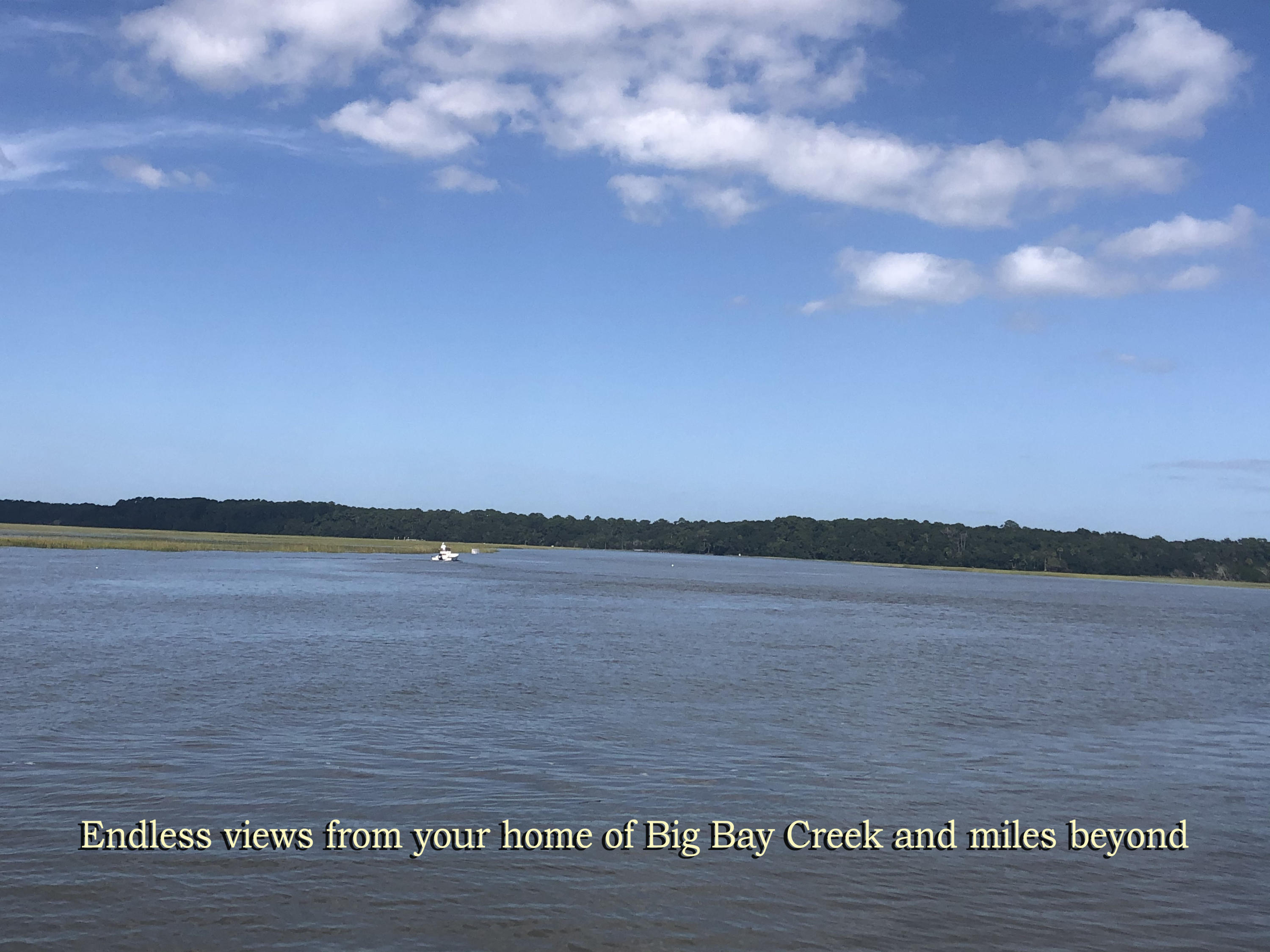 3771 Docksite Road Edisto Island, SC 29438 - Photo 10 of 79 5a