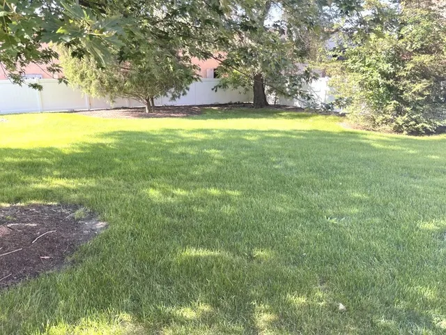 a view of yard with swimming pool and green space