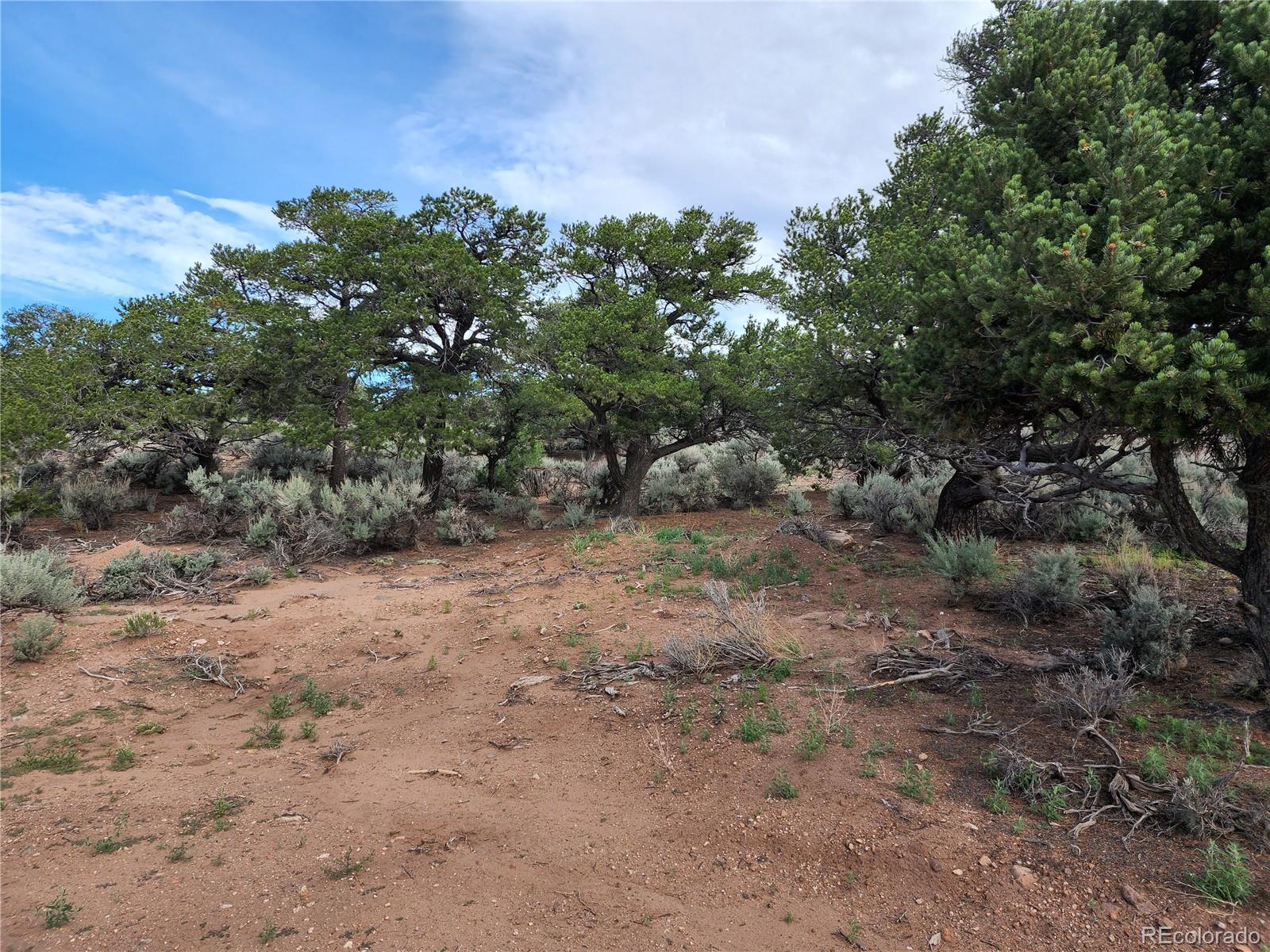 3958 Winding Road Fort Garland, CO 81133 - Photo 17 of 29 Gallery Image 17