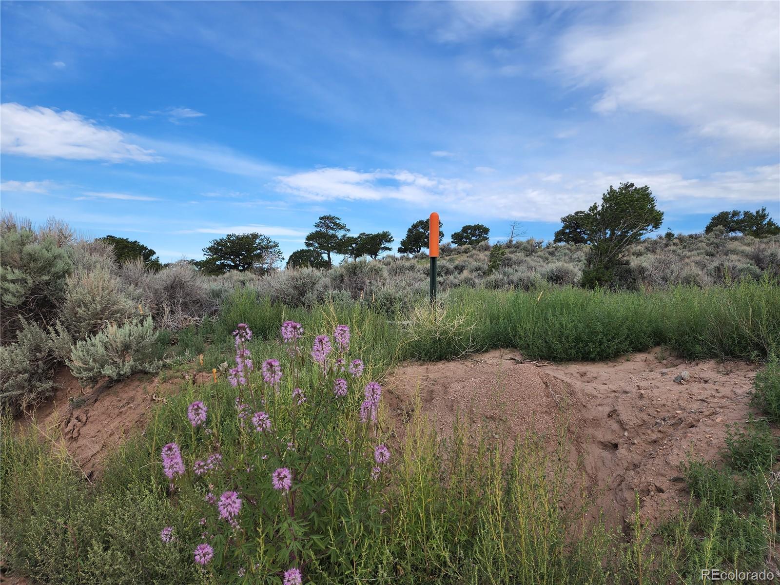 3958 Winding Road Fort Garland, CO 81133 - Photo 28 of 29 Gallery Image 28