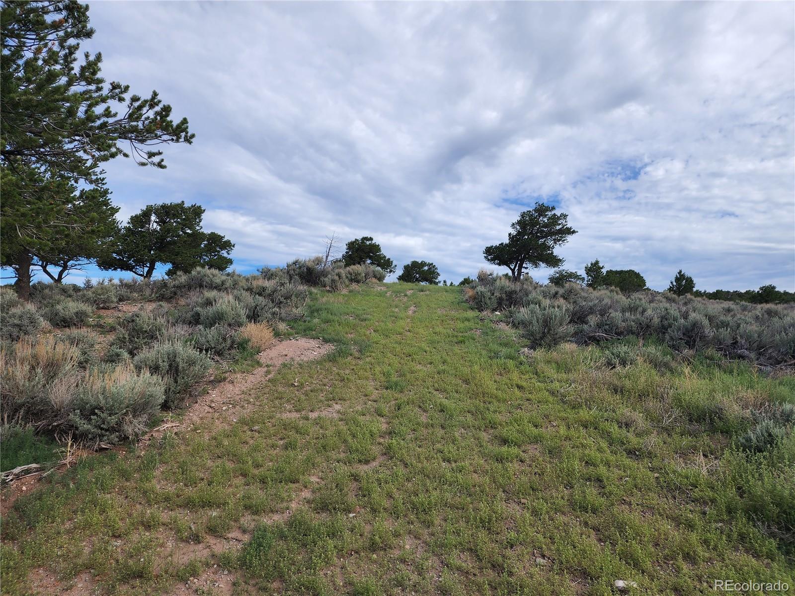 3958 Winding Road Fort Garland, CO 81133 - Photo 3 of 29 Gallery Image 3