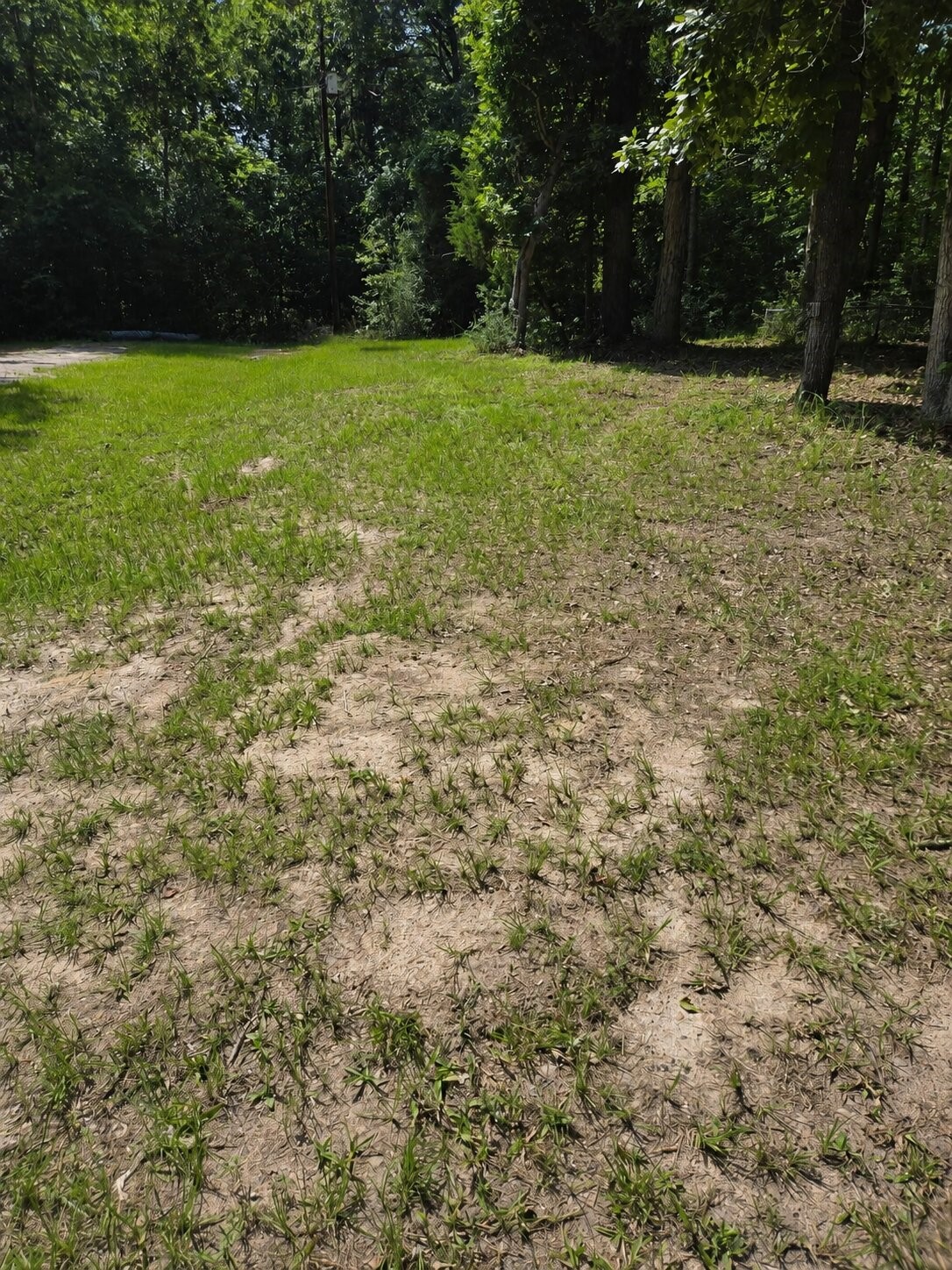 Tbd Atchley Lane Trinity, TX 75862 - Photo 2 of 21 Nice yard!
