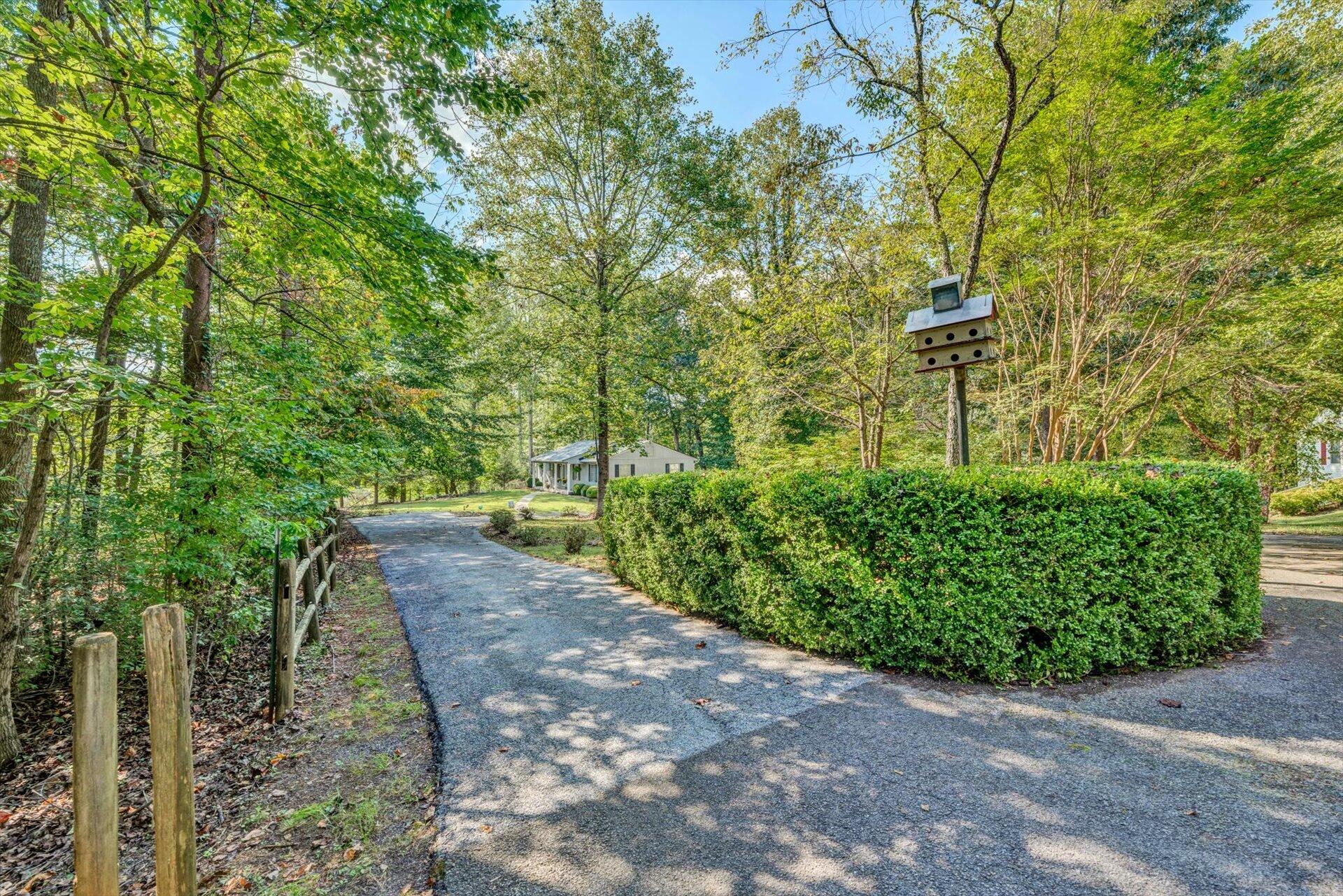 1319 Chandler Road Goodview, VA 24095 - Photo 3 of 53 a view of a pathway both side of yard
