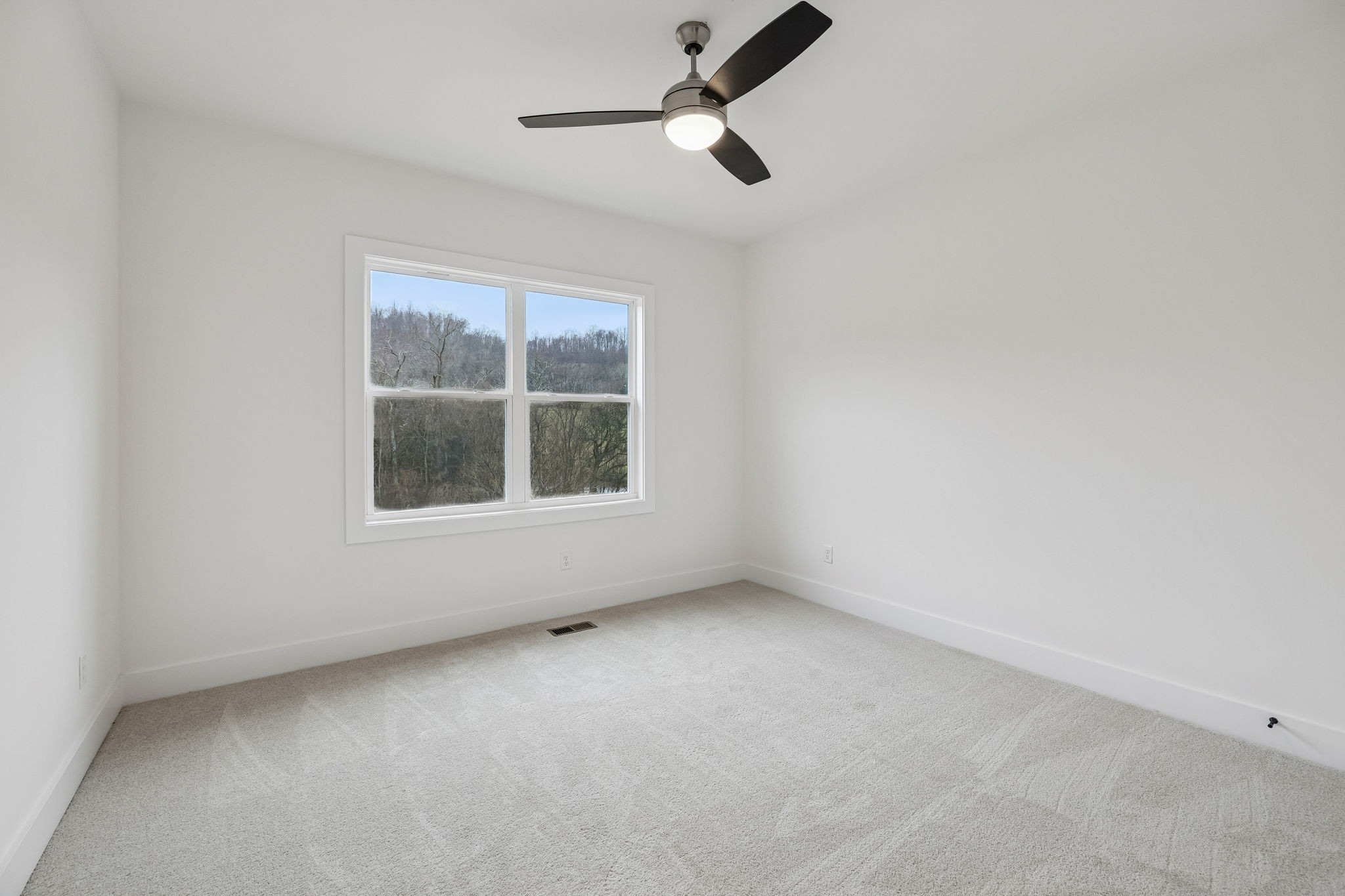 1501 Opossum Paw Road Beechgrove, TN 37018 - Photo 46 of 55 an empty room with a window