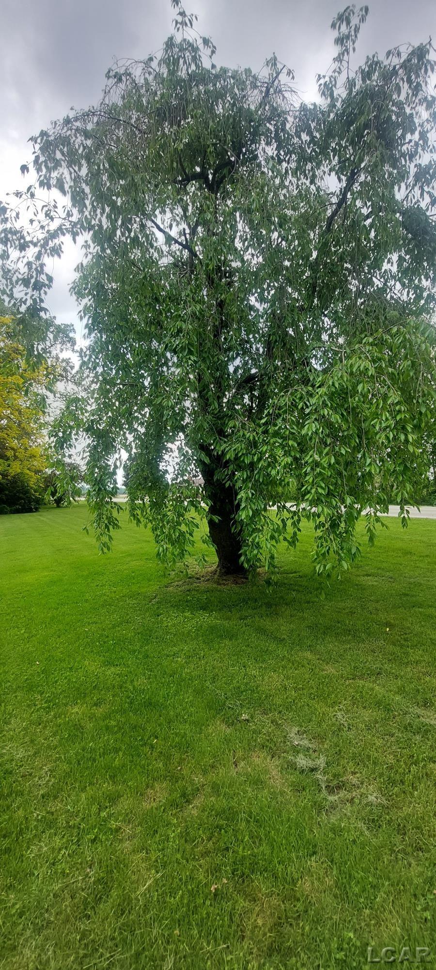 6328 Ridge Highway Britton, MI 49229 - Photo 30 of 98 50143092-bd78fdd9-4ab0-46e8-9bc6-3c7f37d9fae6.JPG