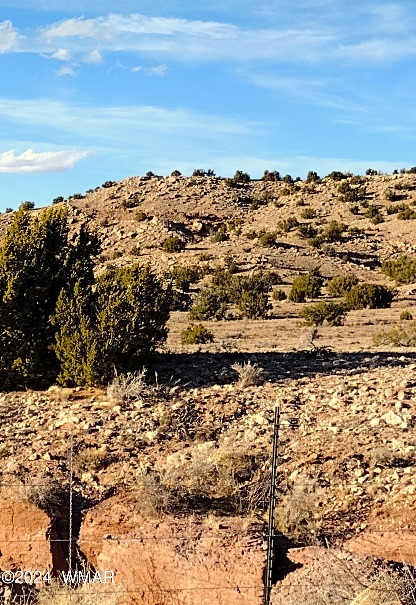 St-johns Az 85936 Ranch St. Johns, AZ 85936 - Photo 2 of 11