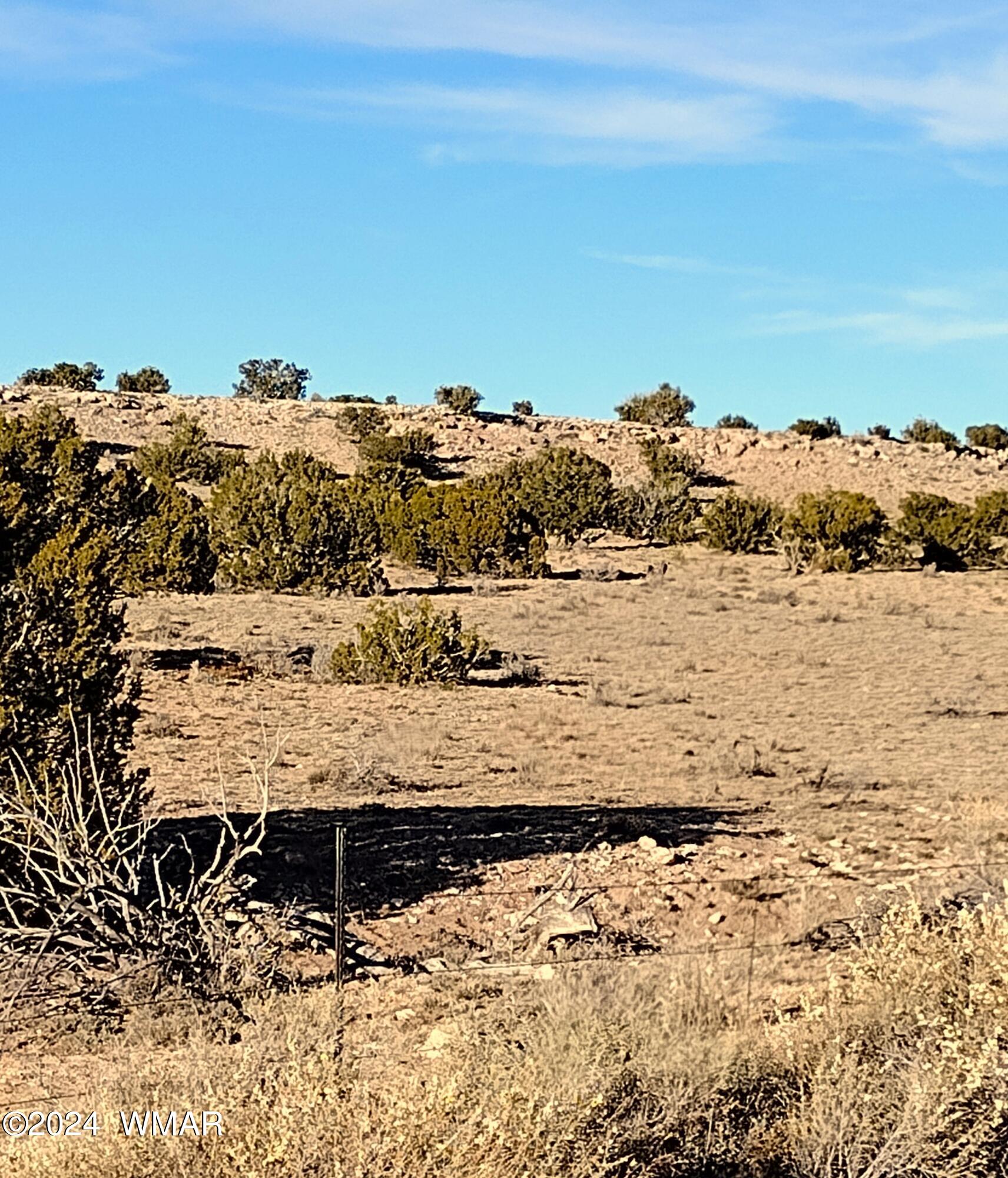 St-johns Az 85936 Ranch St. Johns, AZ 85936 - Photo 5 of 11