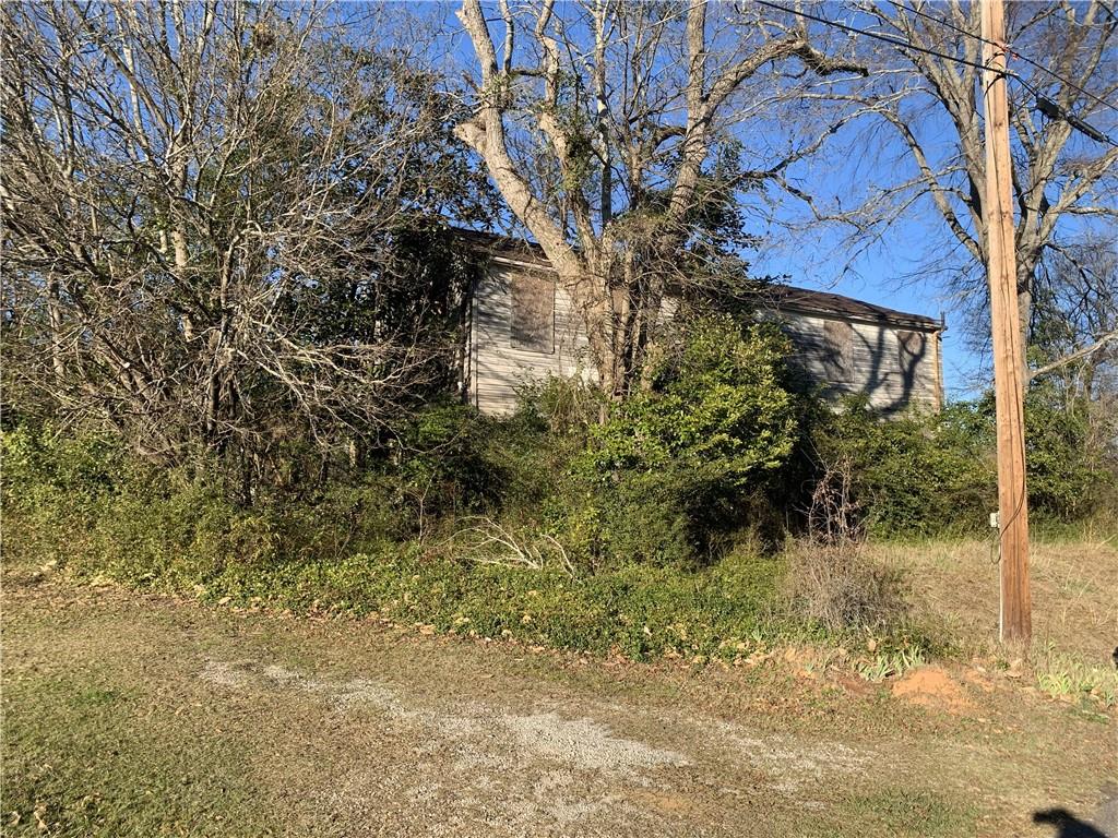 256 Maiden Lane Sparta, GA 31087 - Photo 4 of 7 a view of a yard with plants and trees