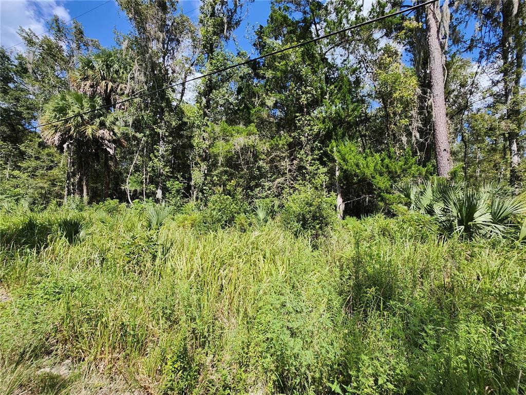 Tbd Southwest 12th Street Road Ocala, FL 34481 - Photo 1 of 1 Gallery Image 1