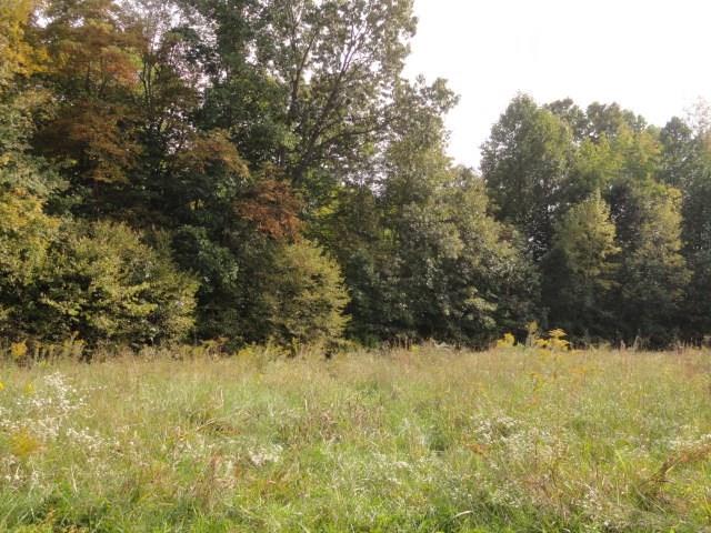 40.92 Pea Ridge Road Spencer, IN 47460 - Photo 2 of 3