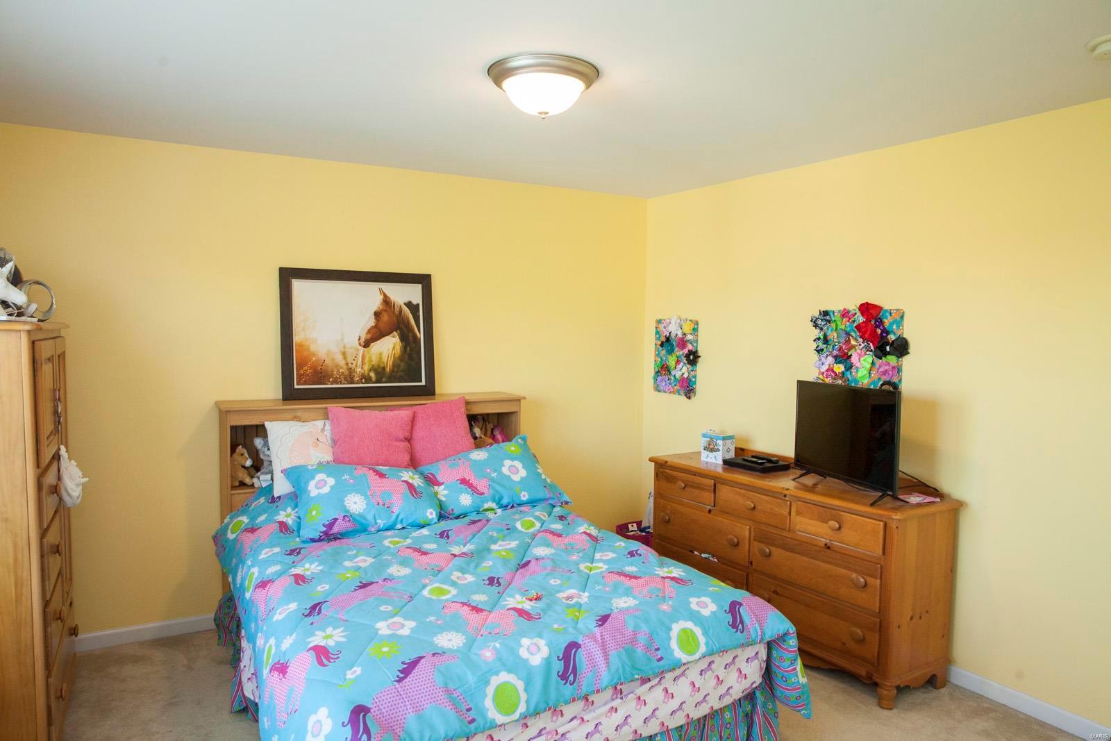 542 Rascal Crossing O'Fallon, MO 63366 - Photo 18 of 27 Gallery Image 18