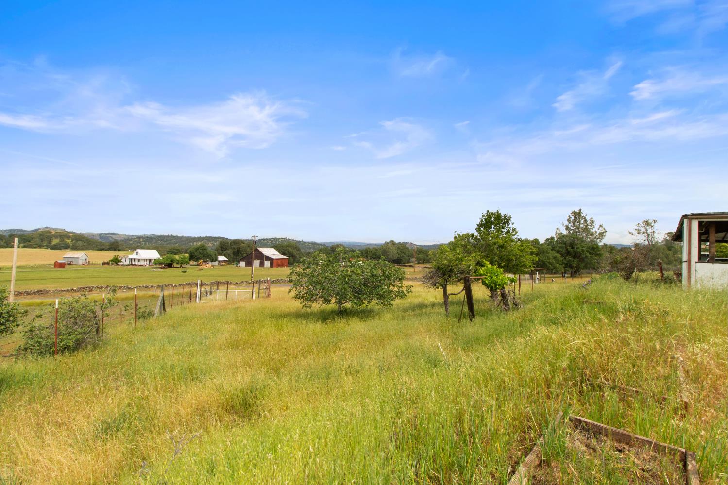 8185 French Flat Road Jamestown, CA 95327 - Photo 63 of 77
