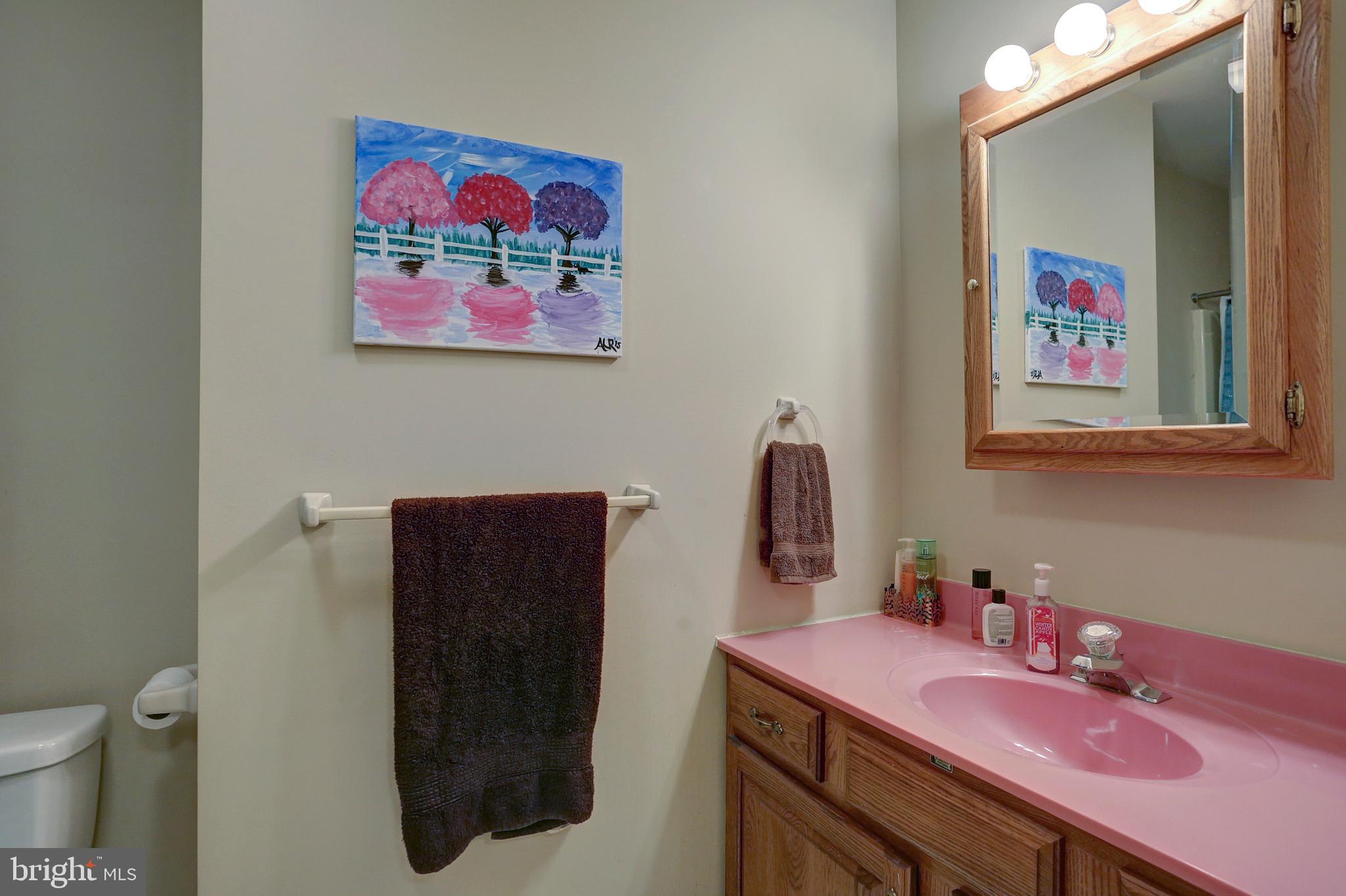 32 Pine Ridge Circle Enola, PA 17025 - Photo 24 of 29 Gallery Image 24