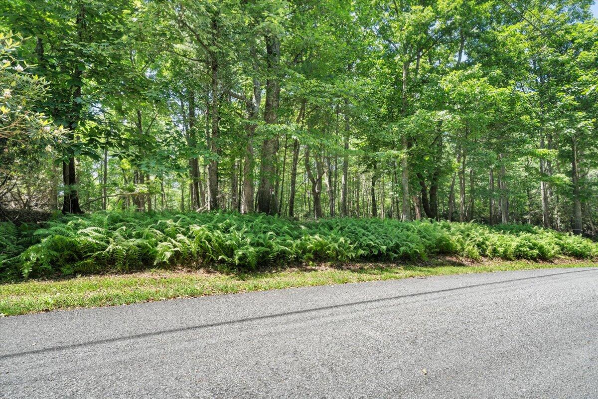 Tbd Dogwood Ridge Fancy Gap, VA 24328 - Photo 5 of 24 20-MIB08738