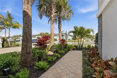 a picture of palm trees