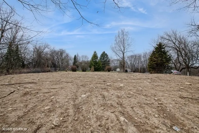 a ground view with large trees