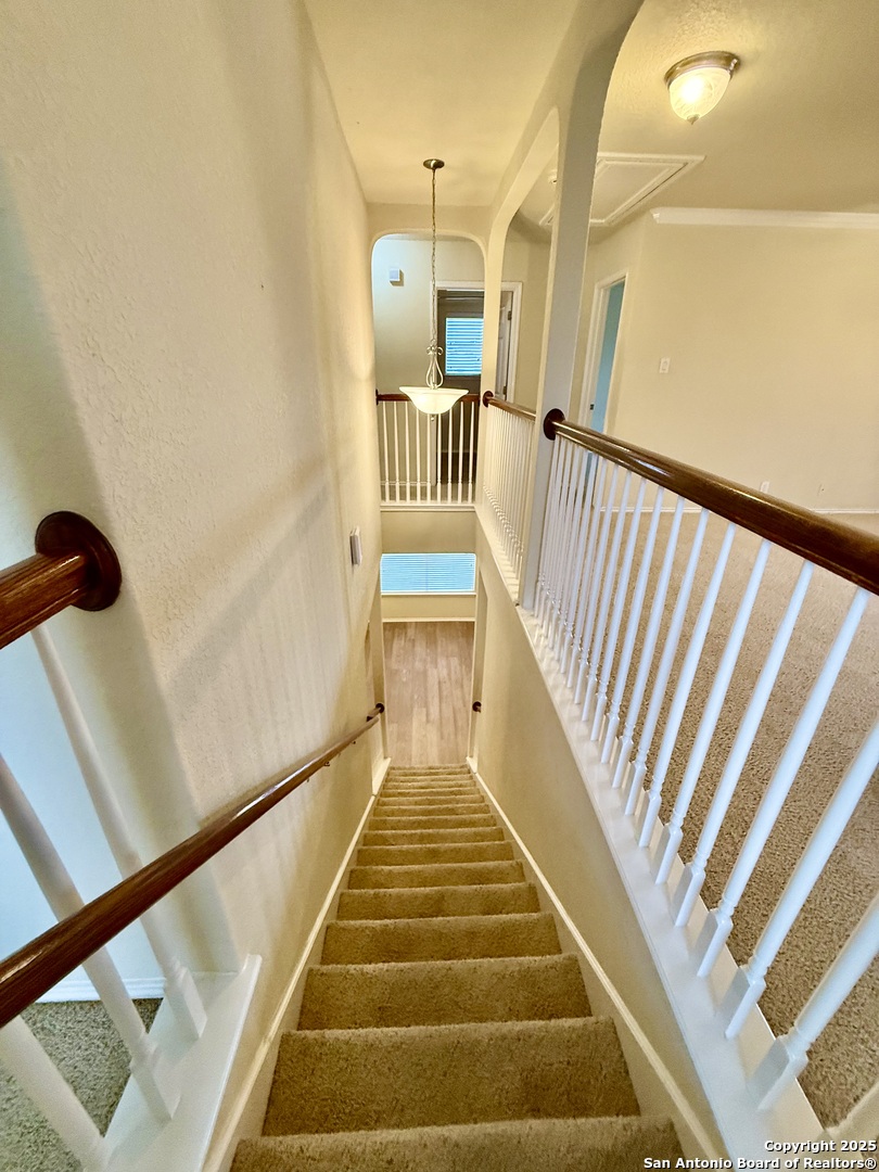 7015 Laguna Beach Converse, TX 78109 - Photo 22 of 39