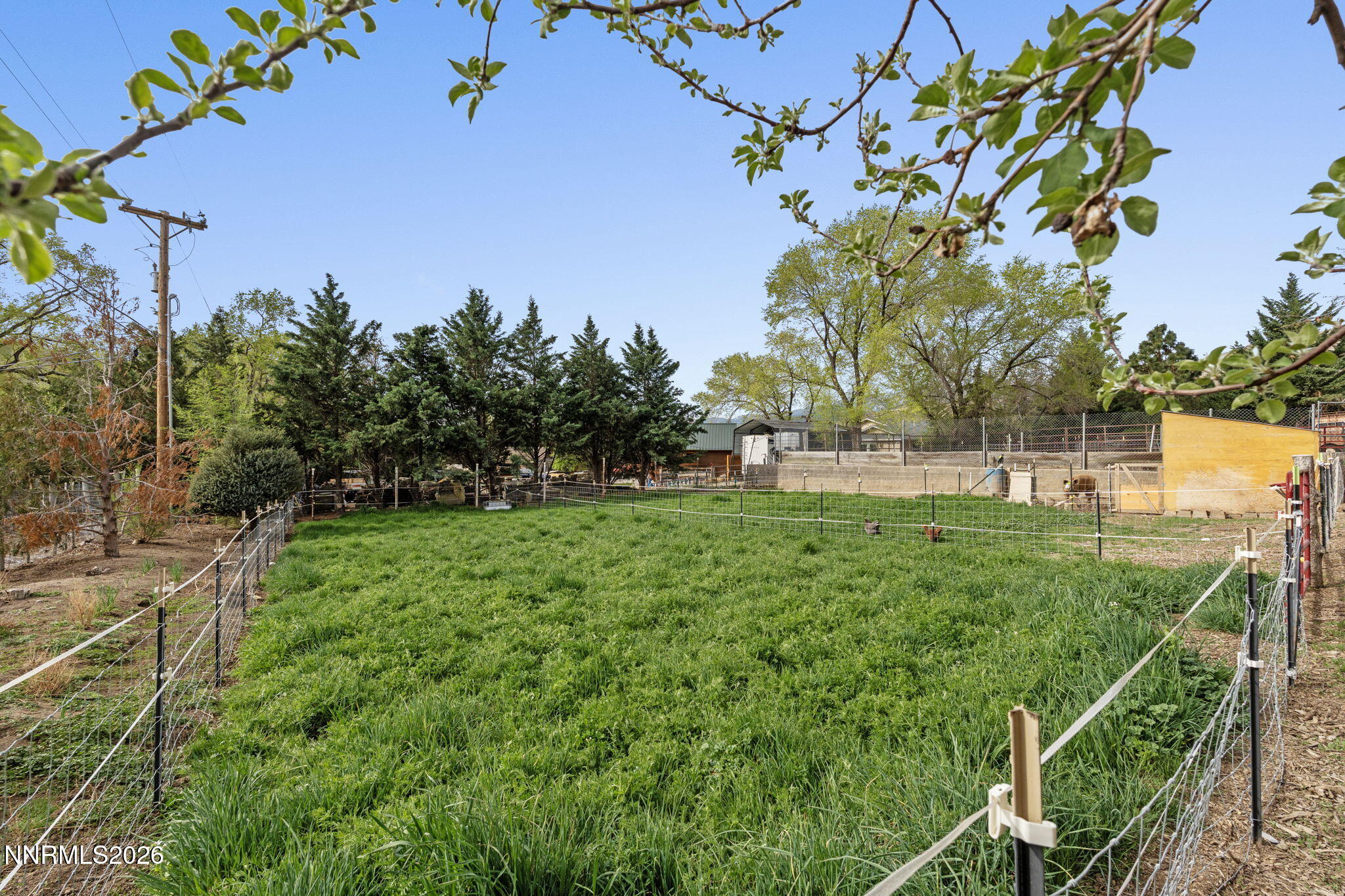 20980 Eaton Road Reno, NV 89521 - Photo 46 of 53 54-web-or-mls-DSC05894