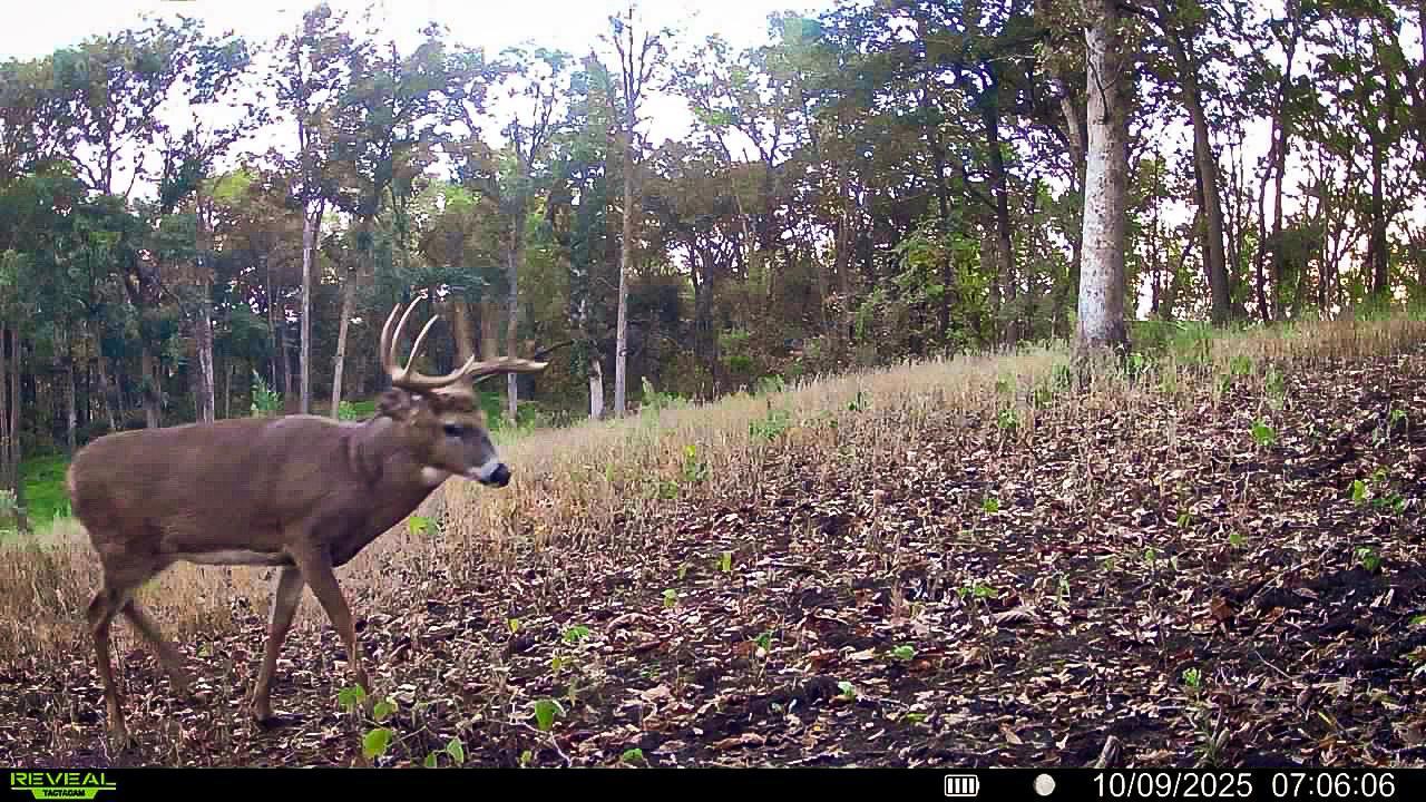 W27022 Whistle Pass Road Dodge, WI 54661 - Photo 1 of 117