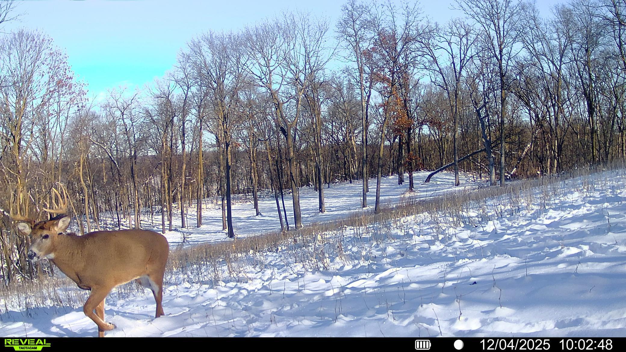 W27022 Whistle Pass Road Dodge, WI 54661 - Photo 101 of 117
