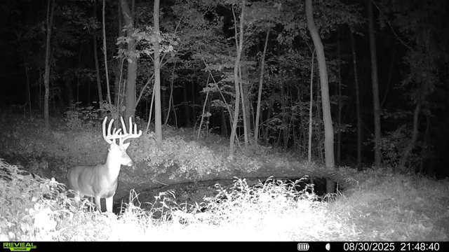 $806,000 | W27022 Whistle Pass Road, Dodge, WI 54661