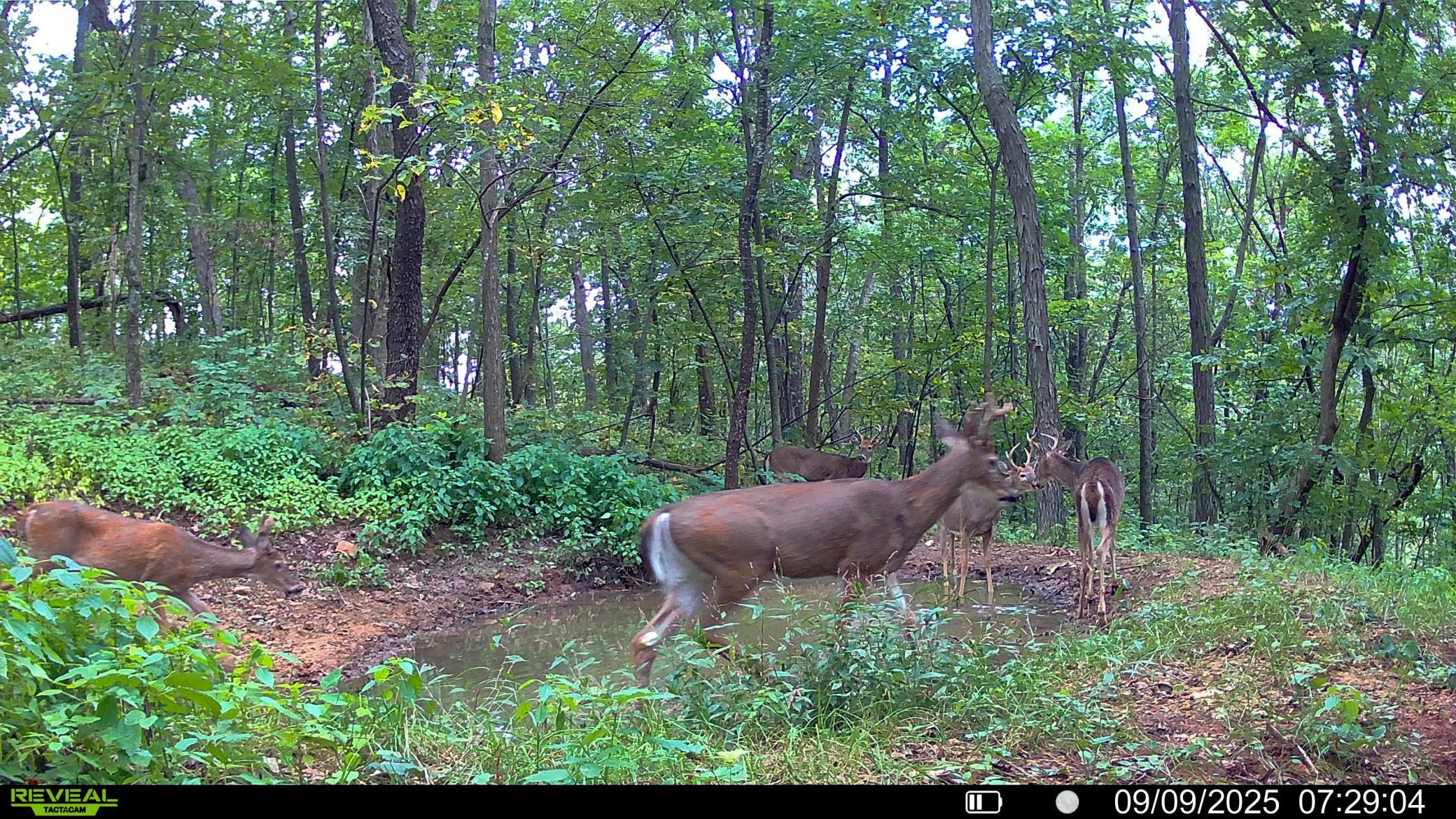 W27022 Whistle Pass Road Dodge, WI 54661 - Photo 103 of 117