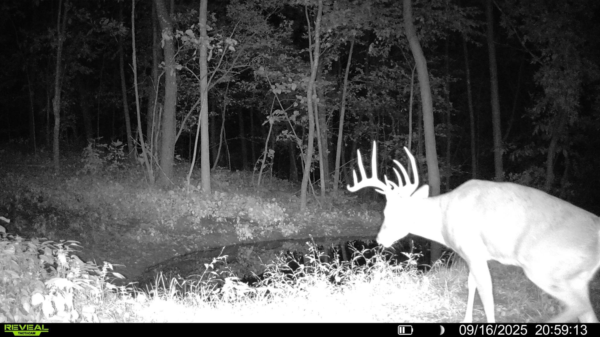 W27022 Whistle Pass Road Dodge, WI 54661 - Photo 105 of 117