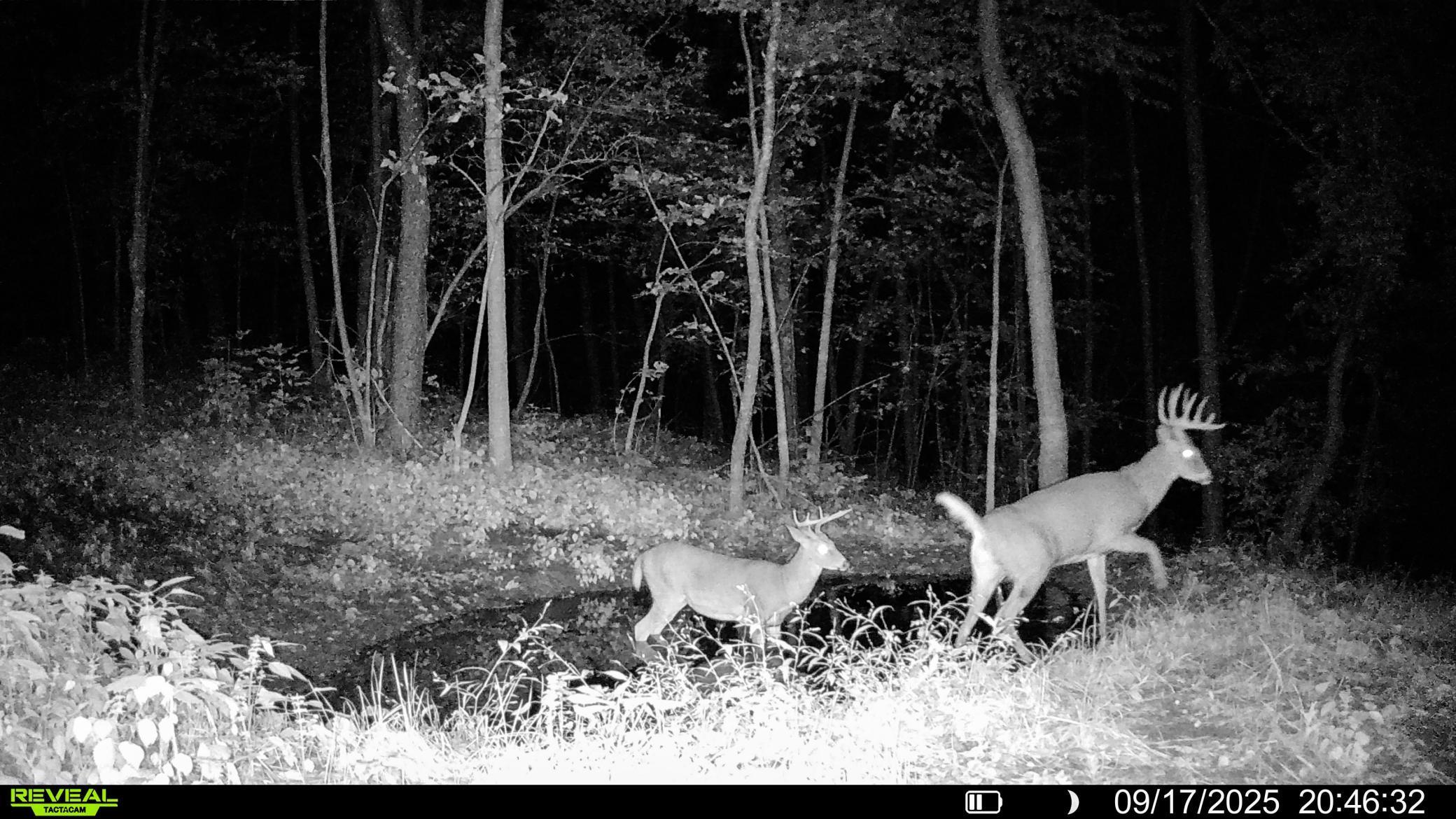 W27022 Whistle Pass Road Dodge, WI 54661 - Photo 106 of 117