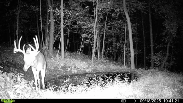 $806,000 | W27022 Whistle Pass Road, Dodge, WI 54661