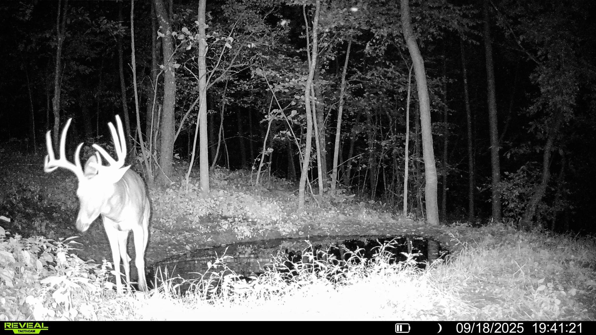 W27022 Whistle Pass Road Dodge, WI 54661 - Photo 107 of 117