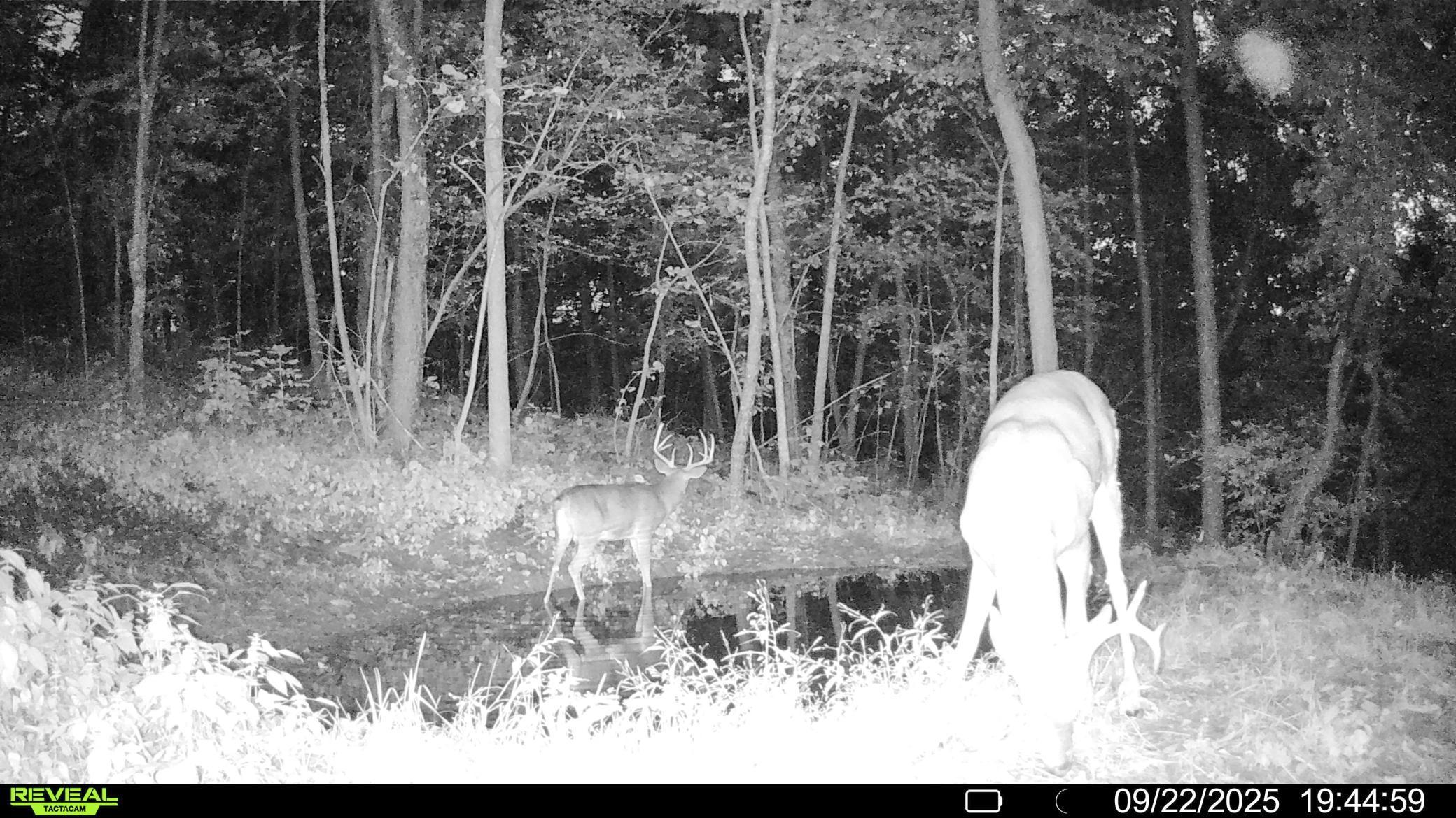 W27022 Whistle Pass Road Dodge, WI 54661 - Photo 108 of 117