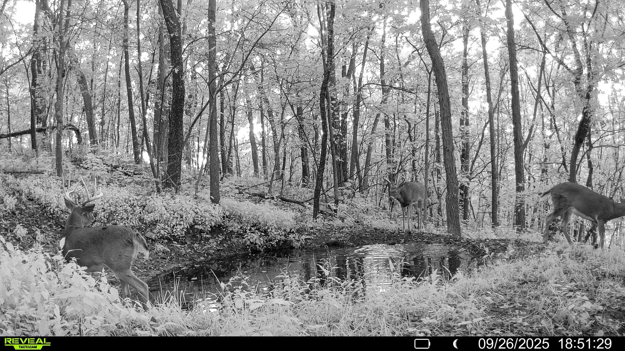 W27022 Whistle Pass Road Dodge, WI 54661 - Photo 109 of 117