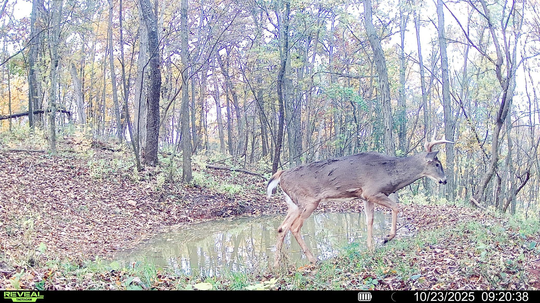 W27022 Whistle Pass Road Dodge, WI 54661 - Photo 110 of 117