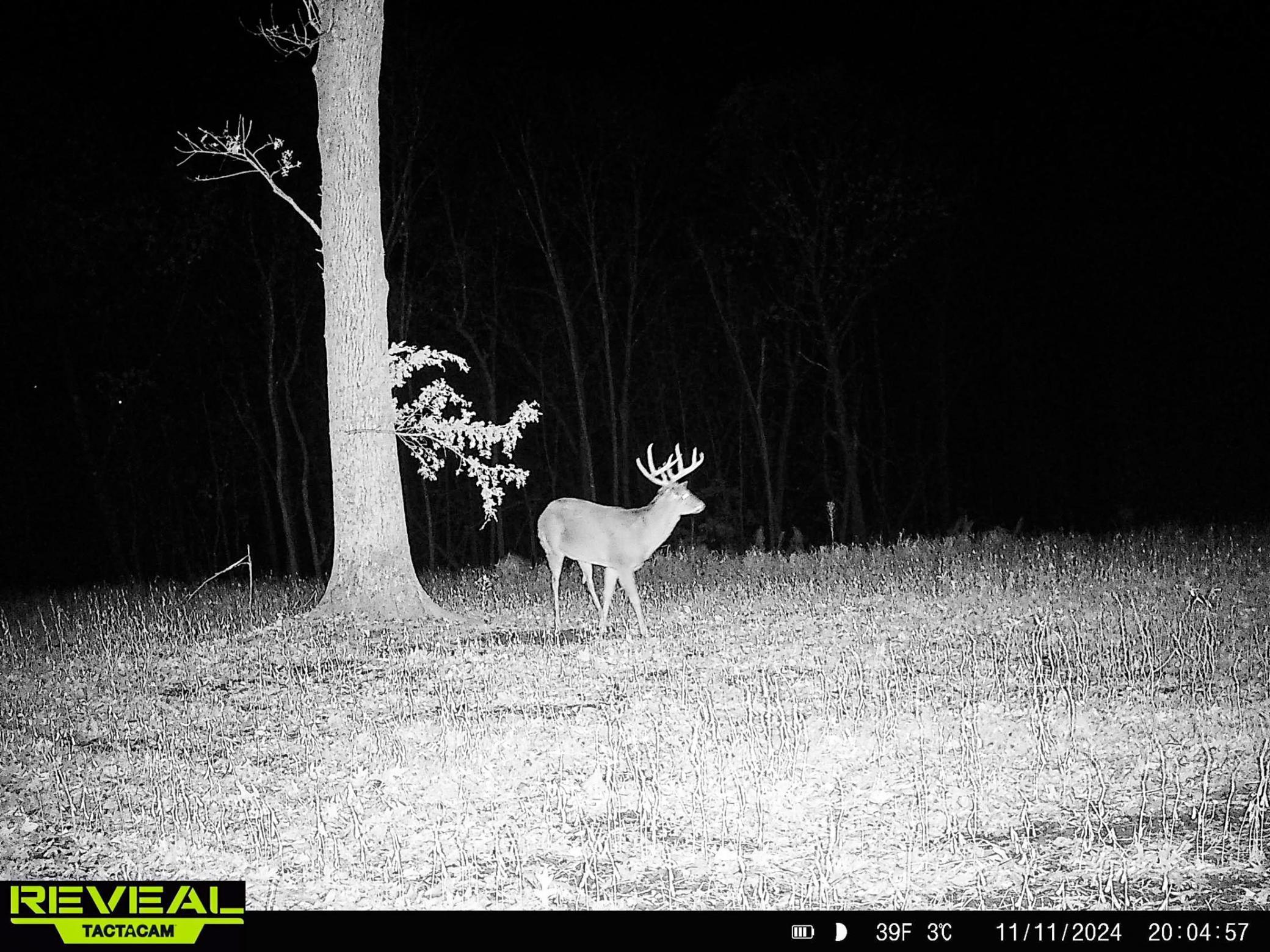 W27022 Whistle Pass Road Dodge, WI 54661 - Photo 11 of 117