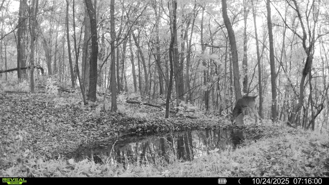 $806,000 | W27022 Whistle Pass Road, Dodge, WI 54661