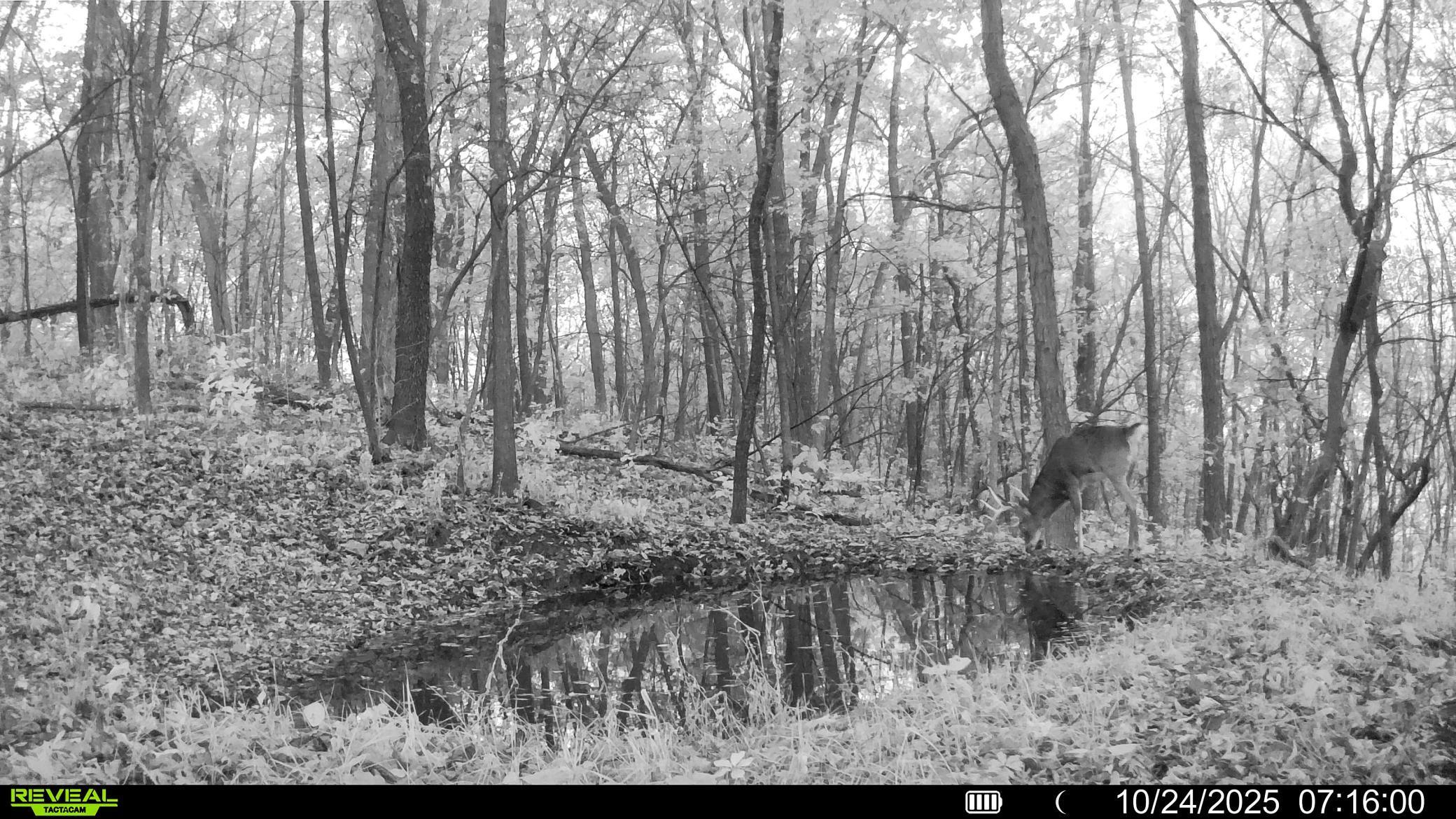 W27022 Whistle Pass Road Dodge, WI 54661 - Photo 111 of 117