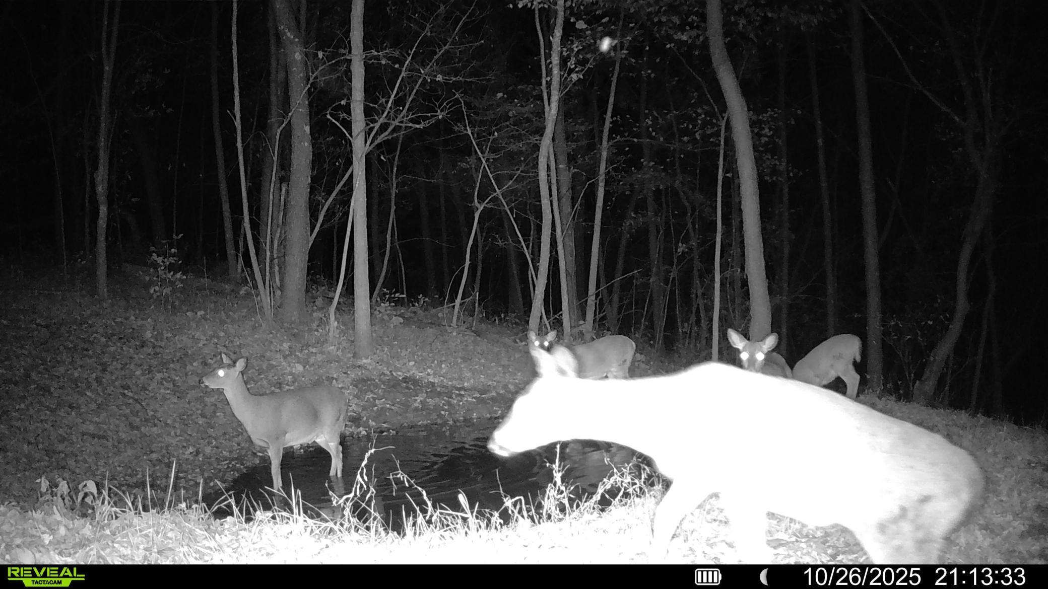 W27022 Whistle Pass Road Dodge, WI 54661 - Photo 112 of 117