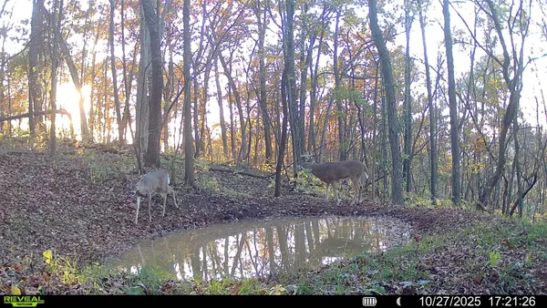 $806,000 | W27022 Whistle Pass Road, Dodge, WI 54661