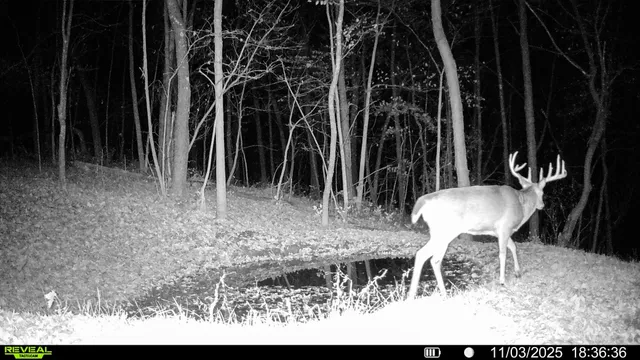 $806,000 | W27022 Whistle Pass Road, Dodge, WI 54661