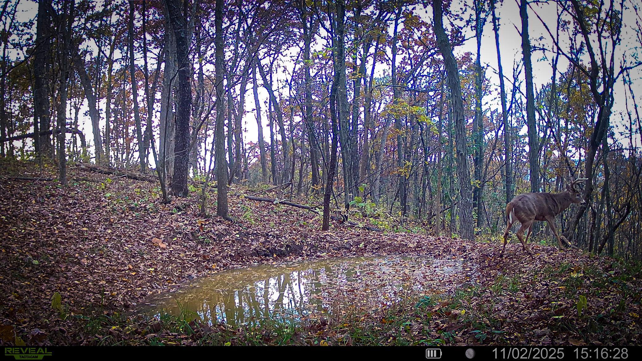 W27022 Whistle Pass Road Dodge, WI 54661 - Photo 115 of 117