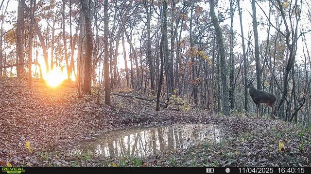 $806,000 | W27022 Whistle Pass Road, Dodge, WI 54661