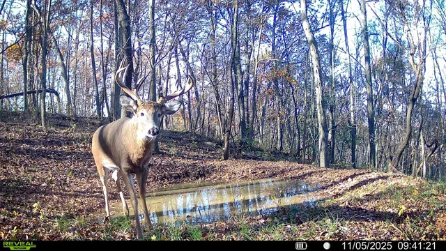 $806,000 | W27022 Whistle Pass Road, Dodge, WI 54661