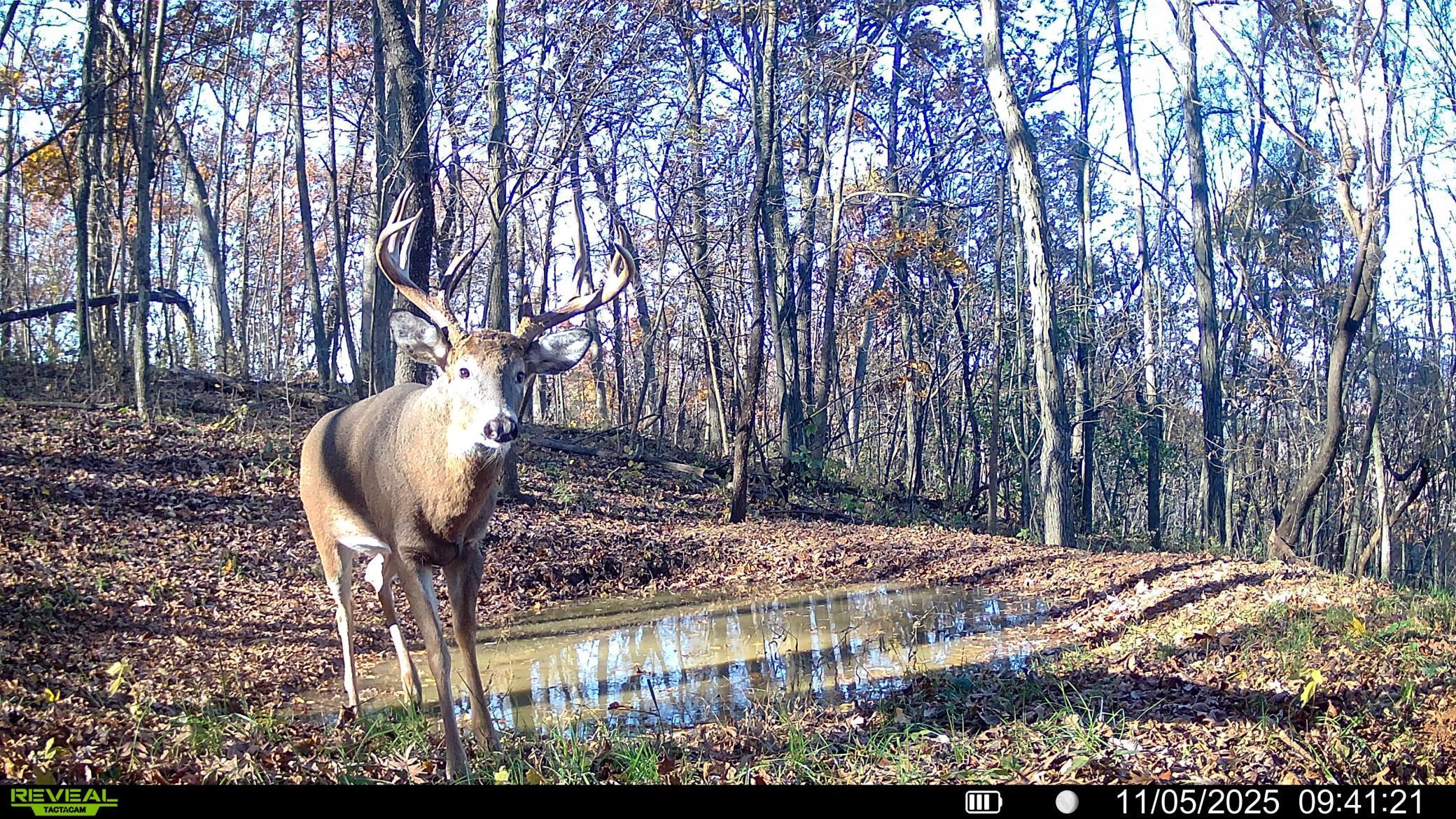 W27022 Whistle Pass Road Dodge, WI 54661 - Photo 117 of 117